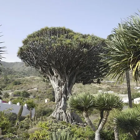 Tenerife North House *